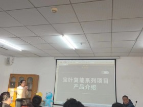 “宝叶复能项目与产品培训会议” 奏响复能奋新进乐章